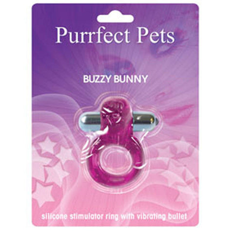 Purrrfect Pets Buzz Bunny
